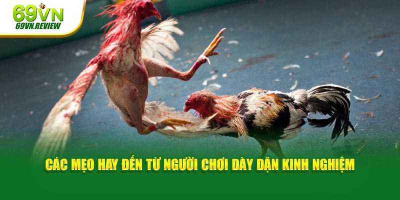 Các mẹo hay đến từ người chơi dày dặn kinh nghiệm