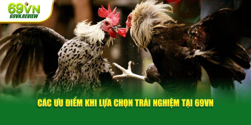 Các ưu điểm khi lựa chọn trải nghiệm tại 69VN