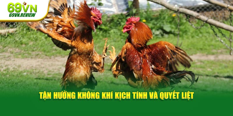 Tận hưởng không khí kịch tính và quyết liệt